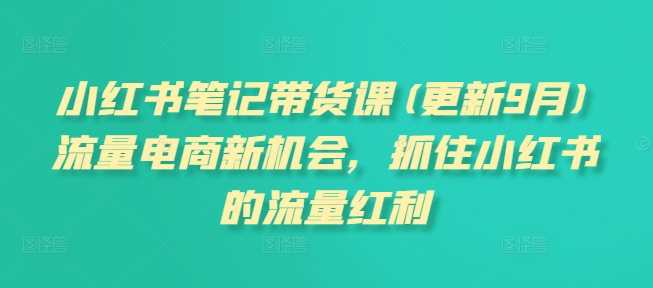 小红书笔记带货课(更新25年1月)流量电商新机会，抓住小红书的红利-精品资源站