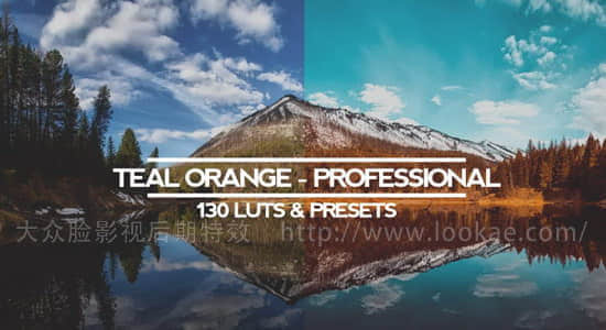 138种电影大片级专业电影LUTs调色预设 Teal And Orange – Standard Pack (RMN) Luts And Presets-精品资源站