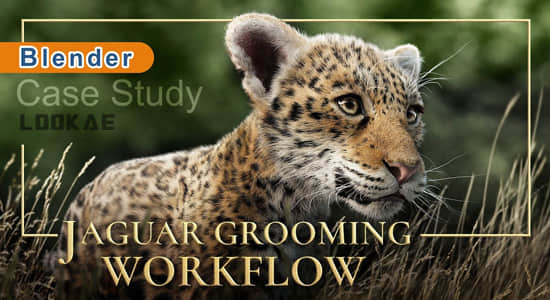 Blender教程-三维真实毛发模拟制作 Jaguar Grooming Workflow-精品资源站