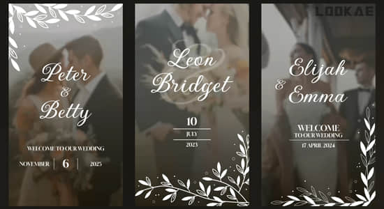 16组垂直竖屏浪漫小清新爱情婚礼文字标题动画AE模板 Floral Wedding Stories-精品资源站