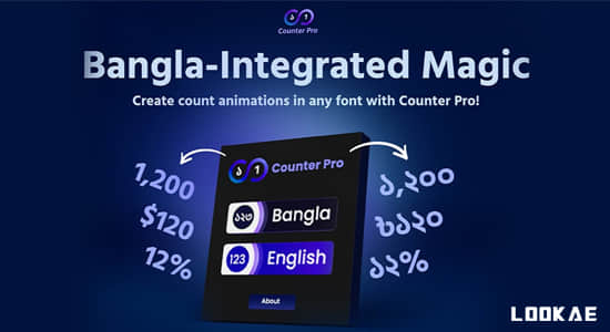 AE脚本-动态计数器动画生成器 Counter Pro v1.0-精品资源站