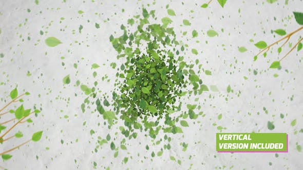 AE模板-众多绿色树叶汇聚LOGO标志片头 Green Eco Logo Reveal-精品资源站