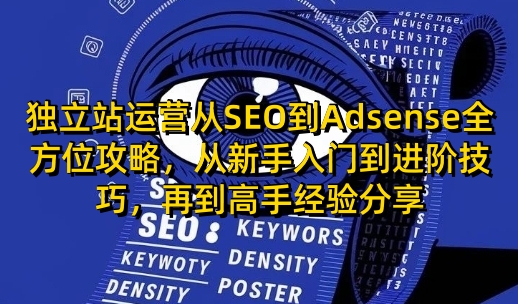 独立站运营从SEO到Adsense全方位攻略，从新手入门到进阶技巧，再到高手经验分享-精品资源站