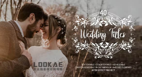 PR模板-40组浪漫爱情线条图形藤蔓生长婚礼文字标题动画 Flourish Wedding Titles-精品资源站
