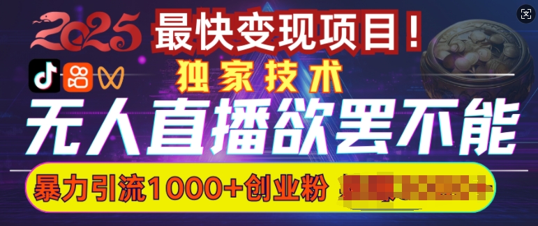 欲罢不能的无人直播引流，超暴力日引流1000+高质量精准创业粉-精品资源站