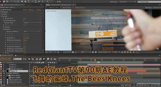 RedGiantTV第90期AE教程：飞舞的蜜蜂.The Bees Knees-精品资源站