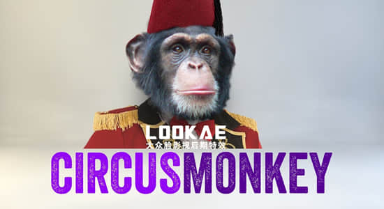 AE脚本-个性动态文字排版3D翻转动画 CircusMonkey V1.03+使用教程-精品资源站