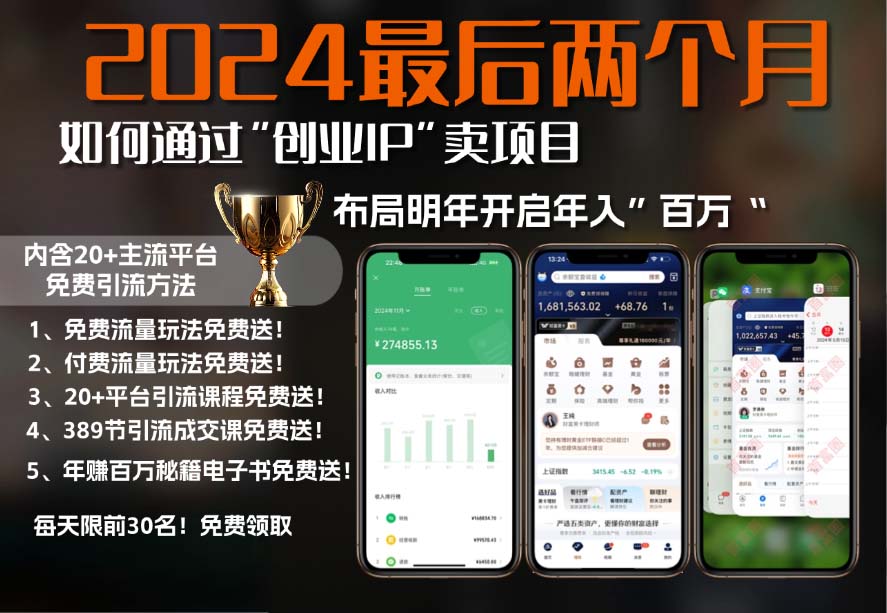 2024最后两个月如何通过”创业IP“卖项目年入”百万“,创业IP+最强引流…-精品资源站