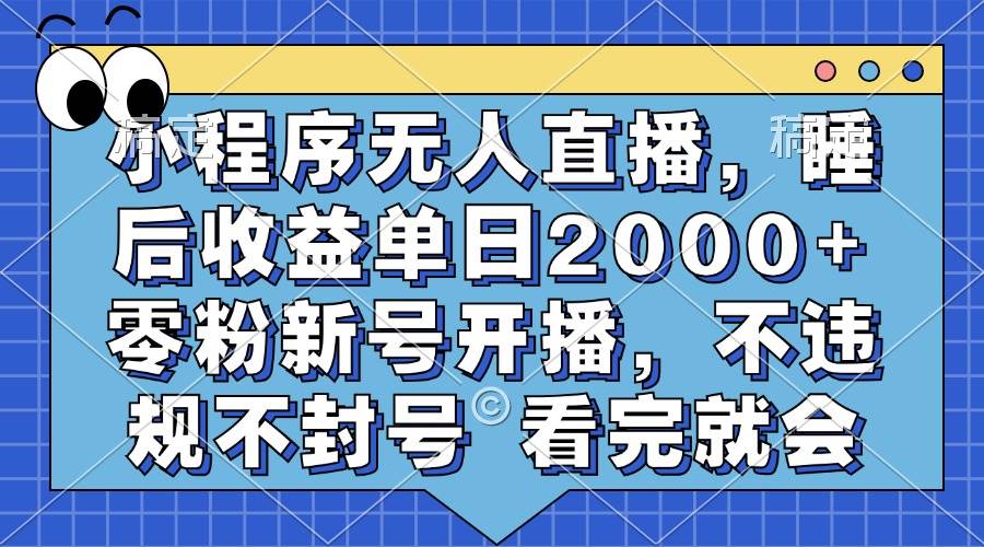 （13251期）小程序无人直播，睡后收益单日2000+ 零粉新号开播，不违规不封号 看完就会-精品资源站