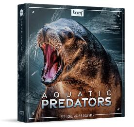 海洋海狮海豹海豚海象动物氛围无损音效大合集Aquatic Predators
