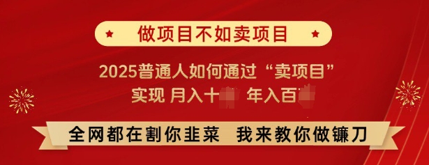 必看，做项目不如卖项目，2025普通人如何通过“卖项目”实现月入十个，年入百个-精品资源站