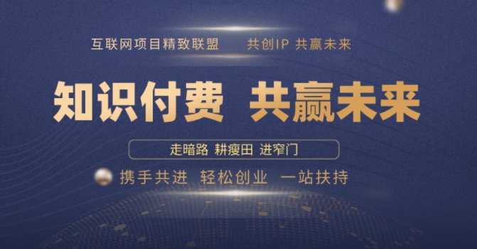 别人苦寻无果，为何他们靠知识付费卖项目 2025 年轻松年入100个?【揭秘】-精品资源站