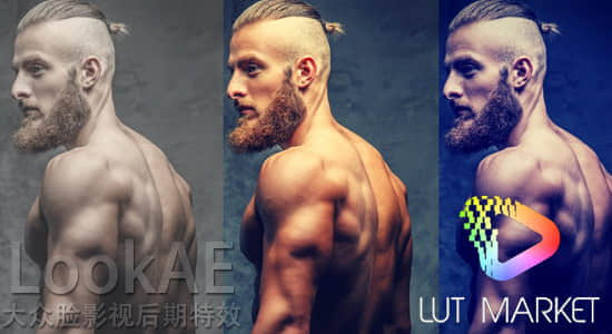 80组LUTs电影调色预设 Lut Market VIVID PRO LUTs Pack Win/Mac-精品资源站