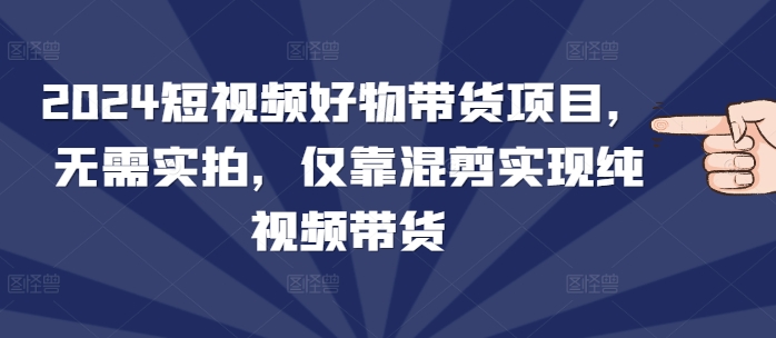 2024短视频好物带货项目，无需实拍，仅靠混剪实现纯视频带货-精品资源站
