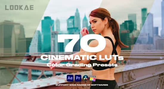 70个电影大片LUT调色预设 Cinematic LUTs Vol.1-精品资源站