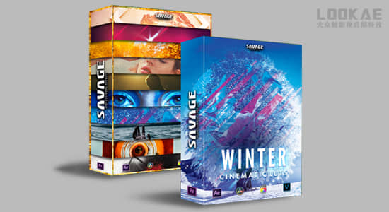 12套150个网红博主创意VLOG旅行季节复古环境人像大片LUTS调色预设 WINTER + ALL LUTS PACK-精品资源站