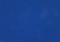 AE脚本-609个手绘卡通流体MG图形音效LOGO文字标题转场背景动画V2-LookAE.com AE脚本-609个手绘卡通流体MG图形音效LOGO文字标题转场背景动画V2