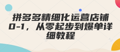 拼多多精细化运营店铺0-1，从零起步到爆单详细教程-精品资源站