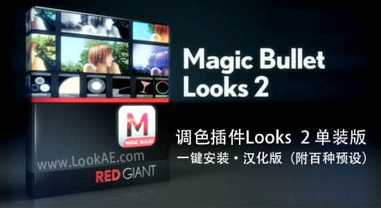 Looks 2.0 中文单装版(64位)一键安装-附百种预设-精品资源站