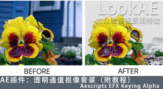 AE插件：透明通道抠像套装（附教程）Aescripts EFX Keying Alpha-精品资源站