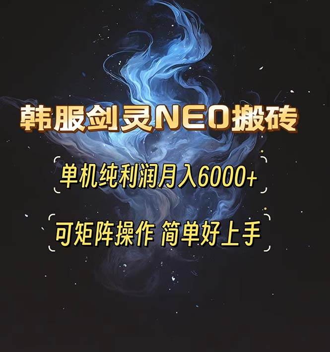 （13435期）韩服剑灵NEO搬砖攻略，单机纯利润月入6000+ 可矩阵操作，简单好上手。-精品资源站