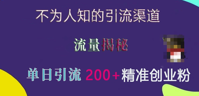 不为人知的引流渠道，流量揭秘，实测单日引流200+精准创业粉【揭秘】-精品资源站