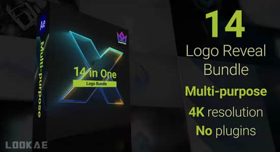 AE模板-14组简约LOGO标志展示小片头动画 Logo Reveal Bundle-精品资源站