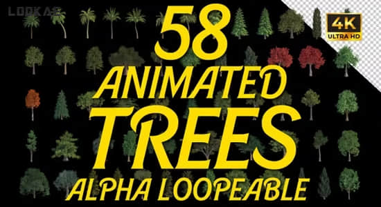 AE模板-58个植物树木循环动画视频素材 Animated Trees Alpha Loop Pack 4K-精品资源站