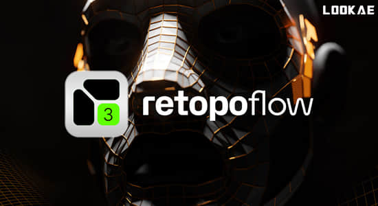 三维模型拓扑Blender插件 RetopoFlow V4.0.2-精品资源站