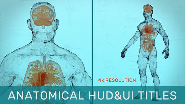 AE模板-三维人体解剖生物医疗文字标题介绍动画 Anatomical HUD&UI Titles-精品资源站
