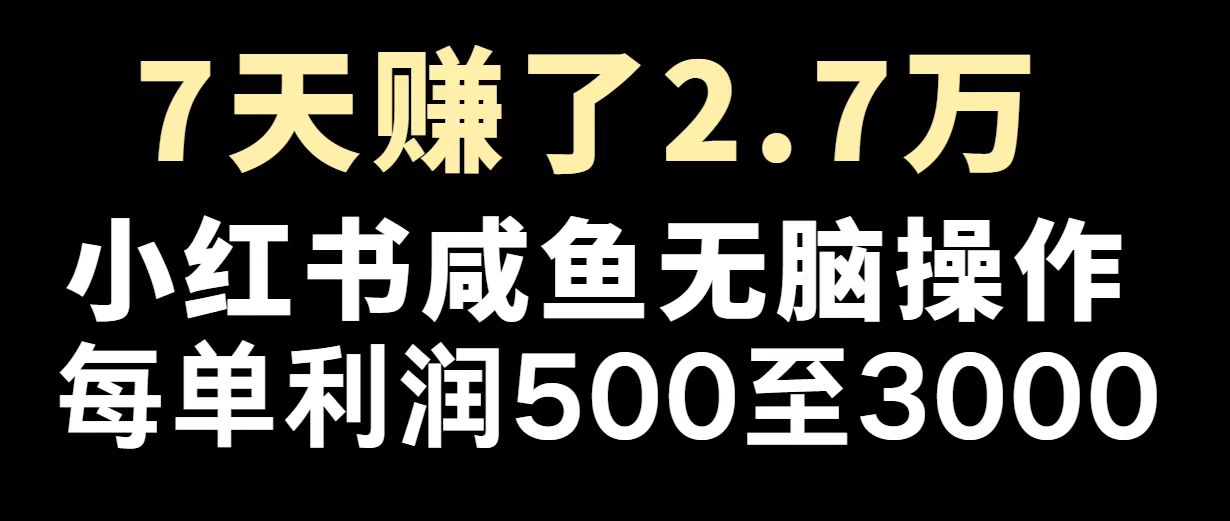 最赚钱项目之一，2025爆火，逆风翻盘！-精品资源站