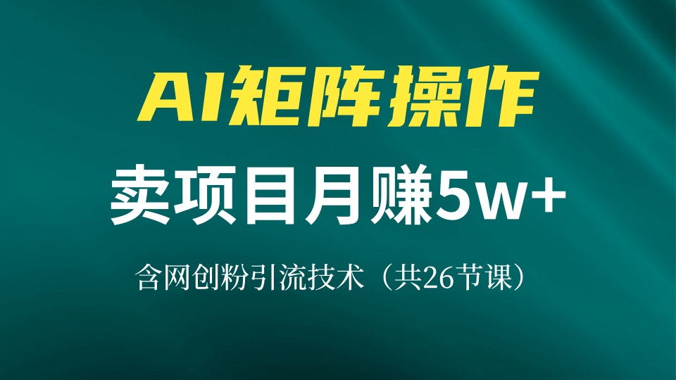 网创IP打造课，借助AI卖项目月赚5万+，含引流技术(共26节课-精品资源站