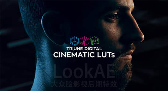 300组LUTs电影大片风格调色预设 Triune Digital: Cinematic LUTs-精品资源站