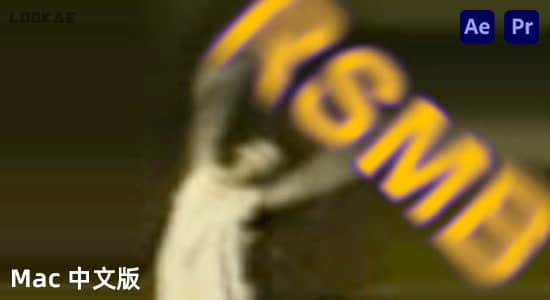 Mac苹果中文汉化-RSMB动态运动模糊AE/PR插件 ReelSmart Motion Blur 6.4.1-精品资源站