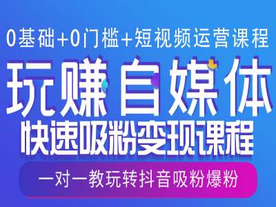 0基础+0门槛+短视频运营课程，玩赚自媒体快速吸粉变现课程，一对一教玩转抖音吸粉爆粉-精品资源站