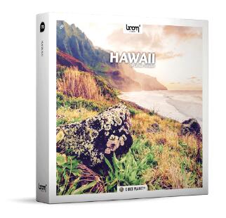 Hawaii 夏威夷鸟鸣海岸雨林虫鸣鸟叫环绕立体无损音效
