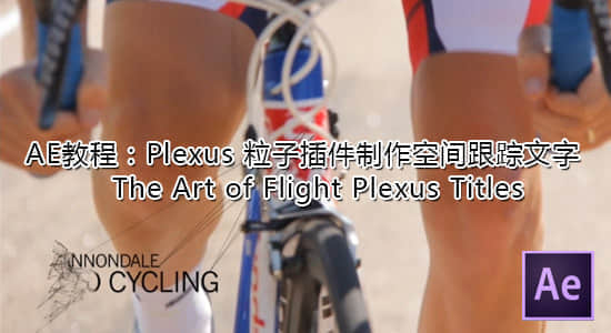 AE教程：Plexus粒子插件制作空间跟踪文字 The Art of Flight Plexus Titles-精品资源站