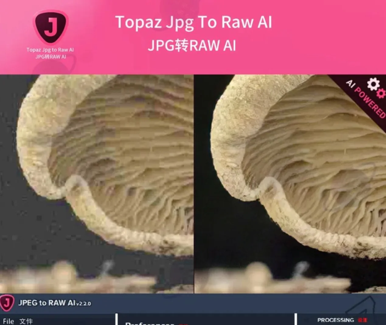 最新Topaz Ai全套汉化软件(8套全)全家桶【WIN+MAC】