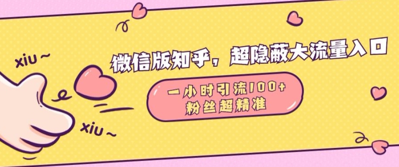 微信版知乎，超隐蔽流量入口1小时引流100人，粉丝质量超高【揭秘】-精品资源站