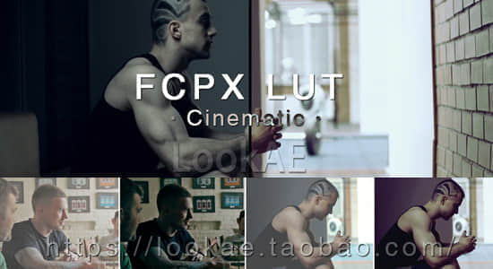 FCPX调色插件：60组电影大片风格 LUT 预设调色 LUT-Cinematic-精品资源站