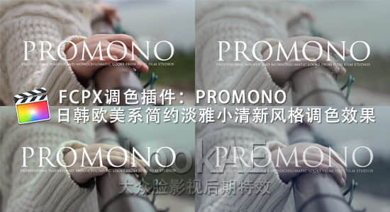 FCPX调色插件：日韩欧美系简约淡雅小清新风格调色插件 PFS – PROMONO-精品资源站