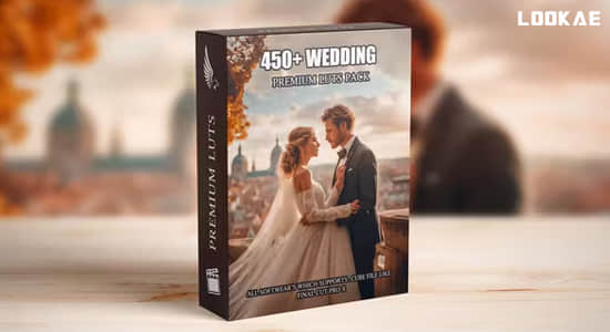 450个专业高级浪漫爱情婚礼视频LUT调色预设 Premium Wedding LUTs Mega Bundle-精品资源站