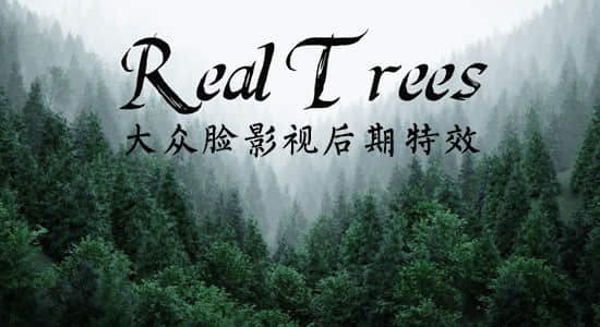Blender插件-逼真三维森林树木自然山林生成插件 BlenderMarket – Real Trees v1.1-精品资源站