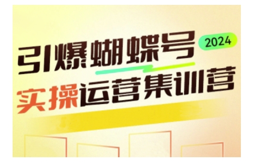 引爆蝴蝶号实操运营，助力你深度掌握蝴蝶号运营，实现高效实操，开启流量变现之路-精品资源站