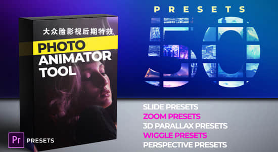 Premiere预设-50种图片缩放透视摇晃移动视差幻灯片动画预设 Photo Animation Tool-精品资源站