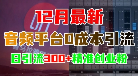 12月最新：音频平台0成本引流，日引流300+精准创业粉-精品资源站