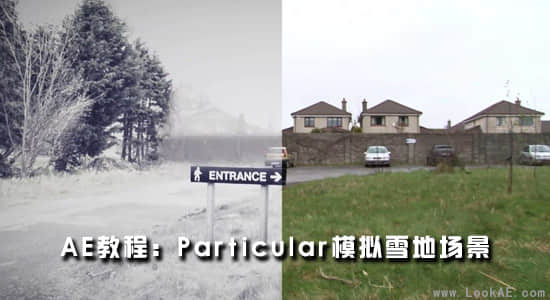 AE教程：粒子 Particular 模拟雪地场景-精品资源站