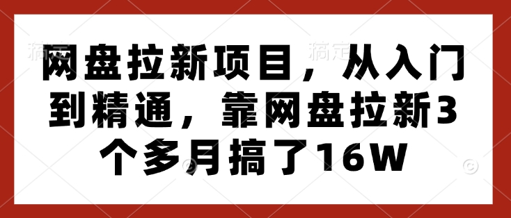 网盘拉新项目，从入门到精通，靠网盘拉新3个多月搞了16W-精品资源站