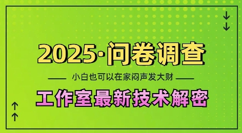 2025问卷调查最新工作室技术解密：一个人在家也可以闷声发大财，小白一天2张，可矩阵放大【揭秘】-精品资源站