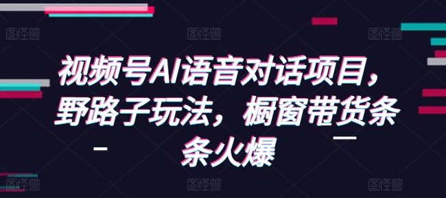 视频号AI语音对话项目，野路子玩法，橱窗带货条条火爆-精品资源站